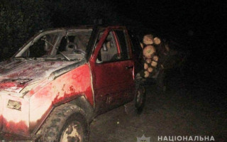 У жителя Ровенской области, который перевозил незаконно срубленную древесину, конфисковали авто и передали ВСУ