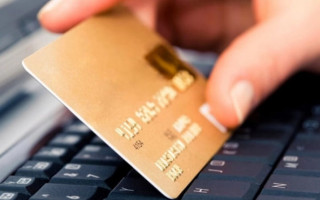 Женщина заплатила 40 000 гривен за щенков «Мальтипа», однако попала на крючок мошенников