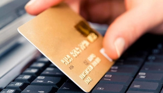 Женщина заплатила 40 000 гривен за щенков «Мальтипа», однако попала на крючок мошенников