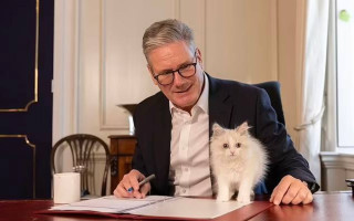 Прем'єр-міністр Великої Британії Кір Стармер завів сибірське кошеня, яке тепер живе на Даунінг-стріт, фото