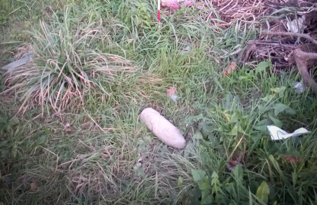 В поле на Львовщине во время работ нашли артиллерийский снаряд