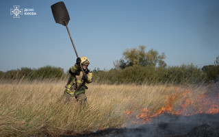 У Києві ДСНС протягом тижня 28 разів виїжджала на ліквідацію пожеж в природних екосистемах
