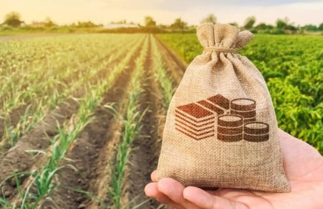 С 1 октября стартуют первые онлайн-аукционы «Земельного банка» — детали