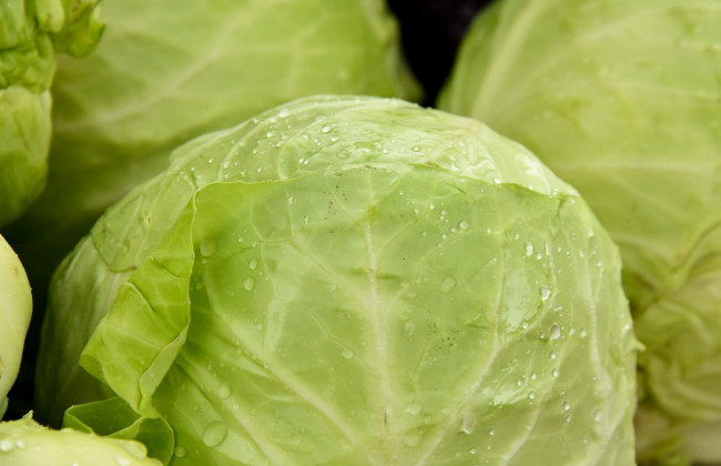 Аналитики объяснили, почему так существенно выросли цены на белокочанную капусту в Украине