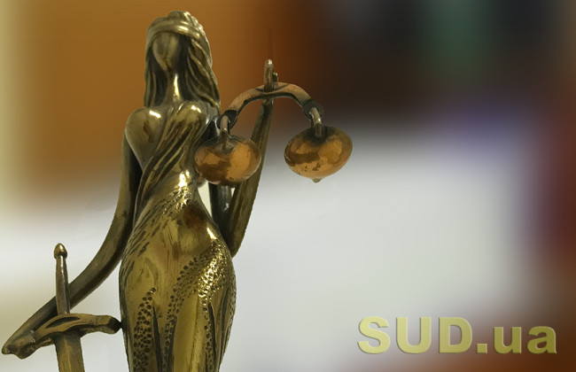 В Винницкой области мужчина, который организовывал незаконную переправку через границу, получил семь лет заключения