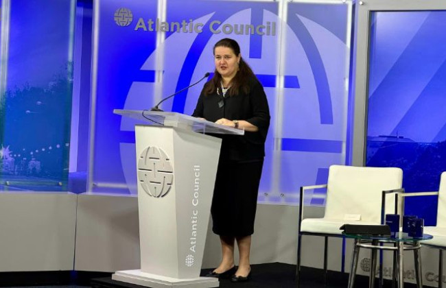 Спикер палаты представителей США просит Владимира Зеленского уволить посла Украины в США Маркарову за нарушение правил политической нейтральности