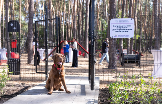 В Киеве открыли современную площадку для выгула и дрессировки собак, фото