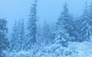 У Карпатах випав перший сніг, фото та відео