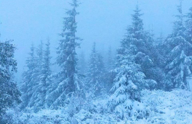 У Карпатах випав перший сніг, фото та відео