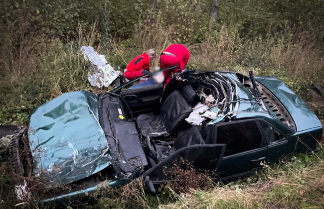 На Львовщине легковушка столкнулась с крупным рогатым скотом – водителя зажало в изуродованном авто