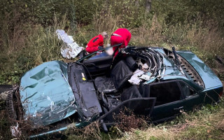 На Львівщині легковик зіткнувся з великою рогатою худобою – водія затисло у понівеченому авто