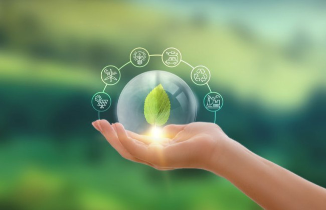 Как исправить ошибки в налоговой декларации по экологическому налогу