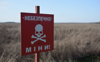 На Харьковщине мужчина во время сжигания сухой травы подорвался на мине