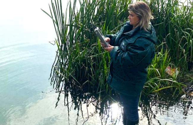 В Житомире зафиксировали массовую гибель рыбы