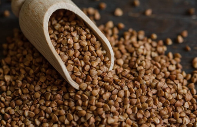 В Житомирской области запустили котельную, которая будет работать на отходах гречки