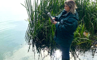 У Житомирі зафіксували масову загибель риби