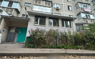 У Кременчуці чоловік із гвинтівки підстрелив двох котів, стрілку загрожує до 8 років позбавлення волі