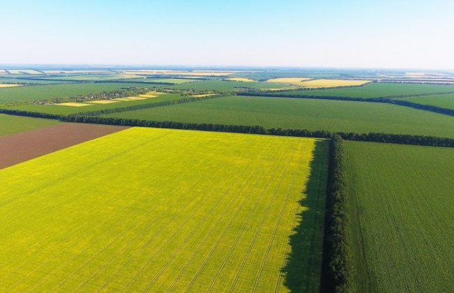 Верховная Рада поддержала предложения Президента к Закону по защите интересов владельцев земельных паев