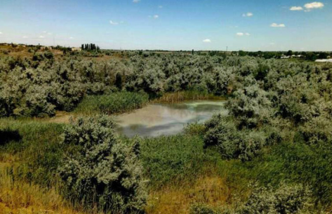 В Одесской области в государственную собственность вернули природно-заповедные земли Нижнеднестровского нацпарка