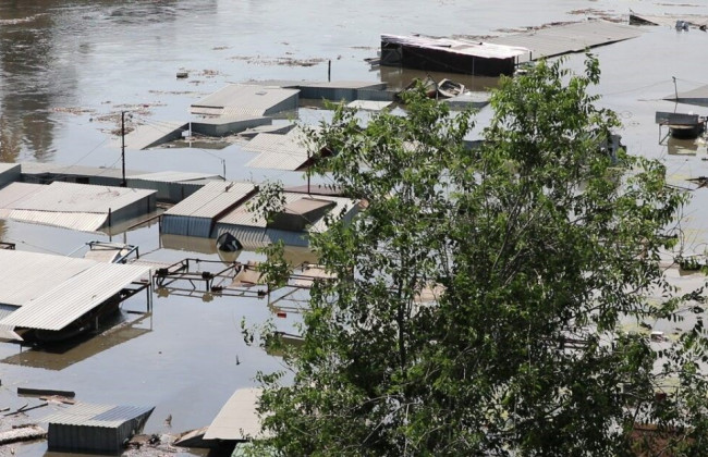 В Украине открыли 15 уголовных дел об экоциде