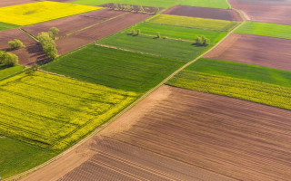 Гражданин рф просил определить ему дополнительный срок в 1 год для отчуждения земельного участка в Украине — что решил суд