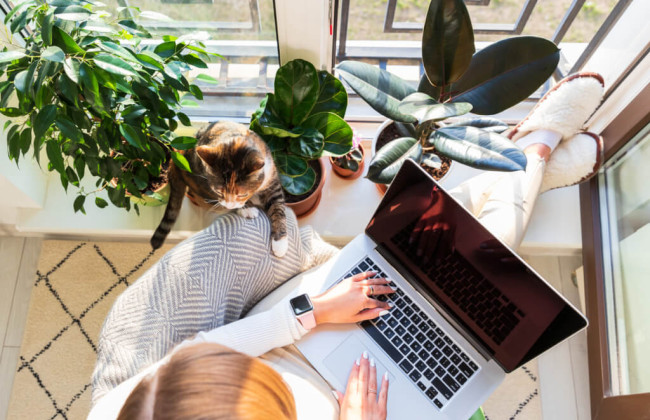 Имеет ли право на отпуск за ненормированный рабочий день работник, работающий дистанционно