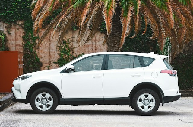 Спрос на гибриды в Украине в сентябре вырос на 22%