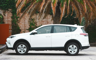 Спрос на гибриды в Украине в сентябре вырос на 22%