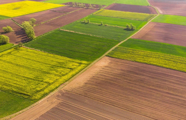 Гражданин рф просил определить ему дополнительный срок в 1 год для отчуждения земельного участка в Украине — что решил суд