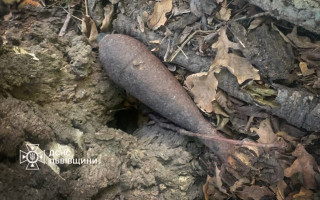 На Львівщині під час збирання грибів чоловік натрапив на мінометну міну, фото