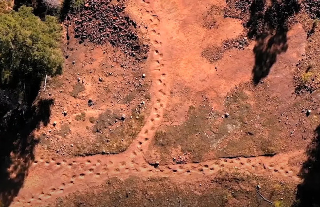 Ученые обнаружили самые длинные в мире следы динозавров – 96-метровую тропу в Колорадо