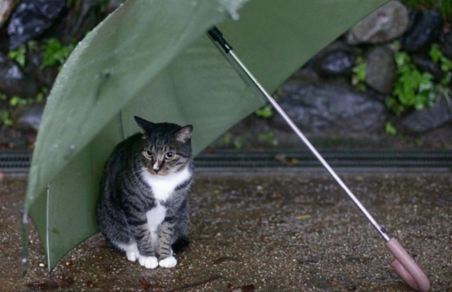 Украинцев ждет резкое изменение погоды в конце недели – дожди и похолодание уже 12 октября