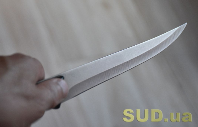 В Сумской области будут судить женщину, которая зарезала собственного мужа