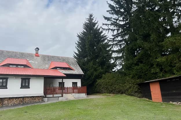 Прага уже выбрала главную рождественскую елку – 65-летнюю ель с Лужицких гор