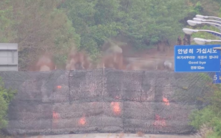 Північна Корея підірвала міжкорейську дорогу та залізничні лінії біля кордону, фото та відео