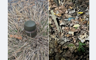 У Києві чоловік виявив гранату в лісосмузі, фото
