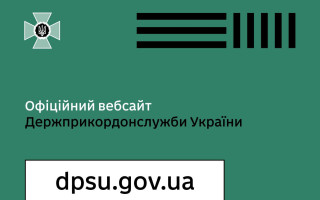 Кіберфахівці заблокували фейковий сайт ДПСУ, що поширював дезінформацію