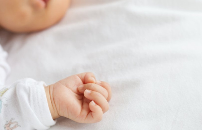 Гоструда объясняет, какой документ нужен для подтверждения права на отпуск при рождении ребенка