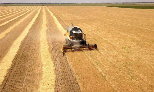 В Одесской области будут судить директора предприятия, который не заплатил миллионы налогов за экспорт сельхозпродукции