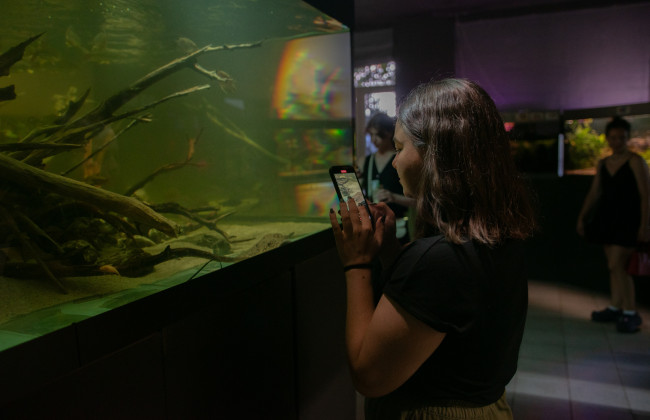 В Киеве в Доме природы открывают занятия по аквариумистике