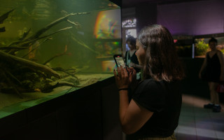 В Киеве в Доме природы открывают занятия по аквариумистике