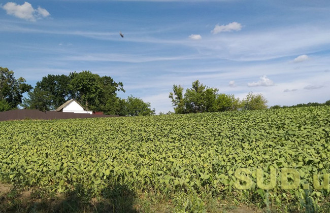 В налоговой напомнили основания для начисления земельного налога