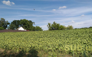 В налоговой напомнили основания для начисления земельного налога