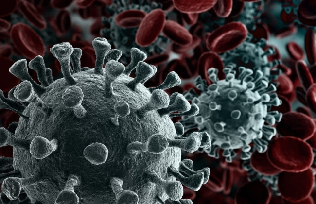 В Великобритании начали испытания мРНК-вакцины против норовируса