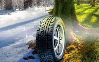 Водіям нагадали, коли треба «перевзути» своє авто