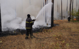 Від 3 060 до 30 600 грн — киянам нагадали про штрафи за спалювання сухого листя та трави