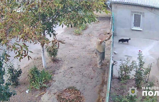 В Одесской области 73-летний мужчина стрелял в детей и соседских собак