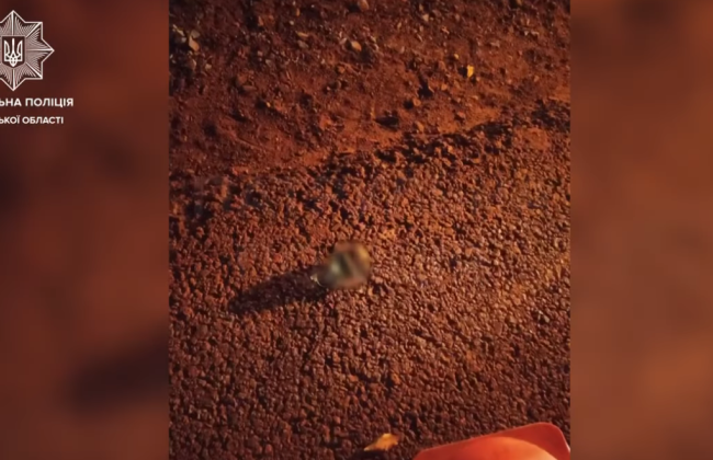 Во Львове мужчина требовал у патрульных вернуть удостоверение водителя, угрожая гранатой