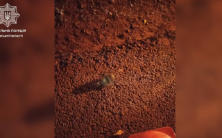 У Львові чоловік вимагав у патрульних повернути посвідчення водія, погрожуючи гранатою