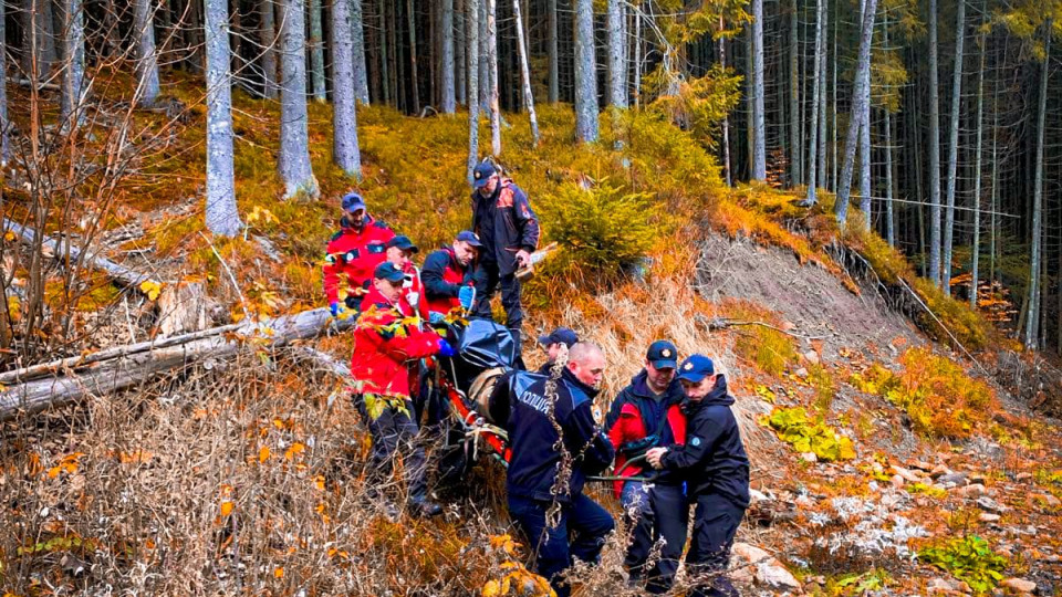 В лесу на Прикарпатье обнаружить тело мужчины, который накануне пошел за грибами